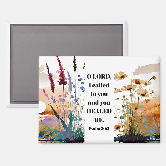 詩篇30:2主よ主よ私にキリスト教の聖書を癒してくれた マグネット (正面/裏面)