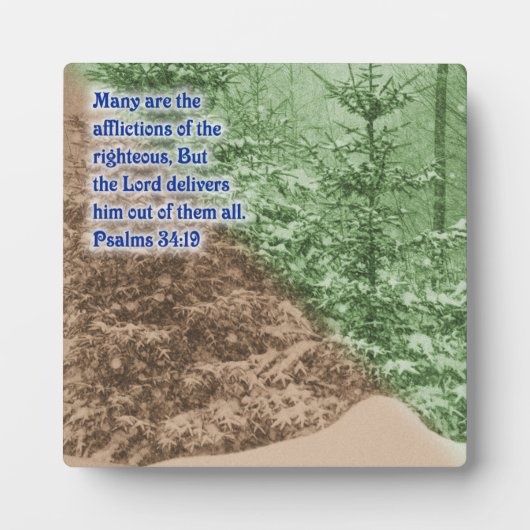 詩篇34:19 フォトプラーク (正面)