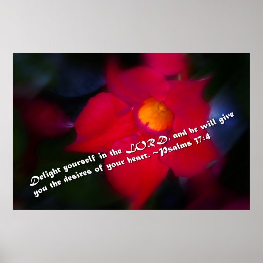 詩篇37:4 ポスター (正面)