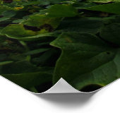 詩篇46:10わたしがまだ神であることを知りなさい ポスター (角)