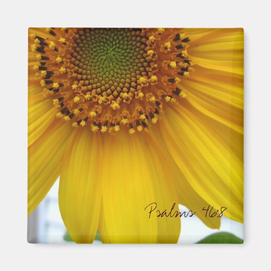 詩篇46:8 マグネット (正面)