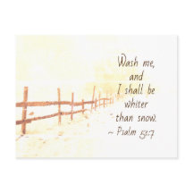 詩篇51:7わたしはわたしを洗い、わたしは雪よりも白くなる