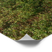 詩篇62:8詩篇勇気付けられるポスター ポスター (角)