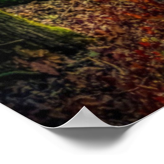 詩篇86:11 ポスター (角)