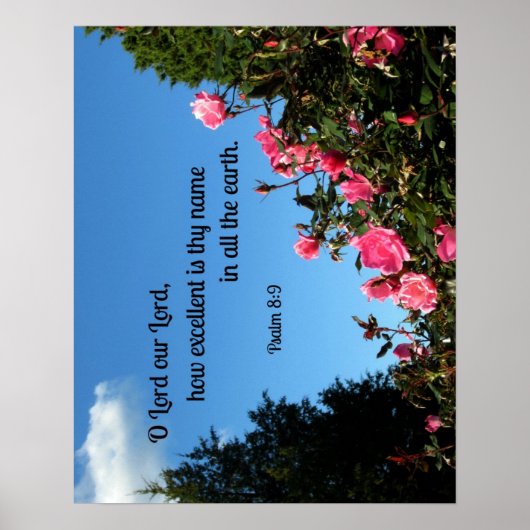 詩篇8:9主よ、あなたの優しさは… ポスター (正面)