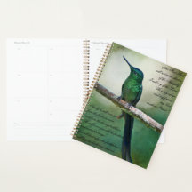 詩篇91:1-4 感動的