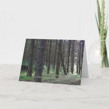 詩篇96:12 感動的