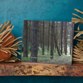 詩篇96:12 感動的 フォトプラーク