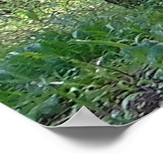 詩篇96:12 感動的 ポスター (角)