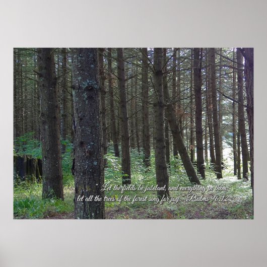 詩篇96:12 感動的 ポスター (正面)