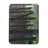 詩篇96:12 感動的 マグネット (縦)