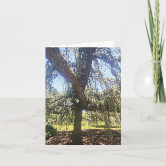 詩篇 1:1-3 ブランクカード カード (正面)