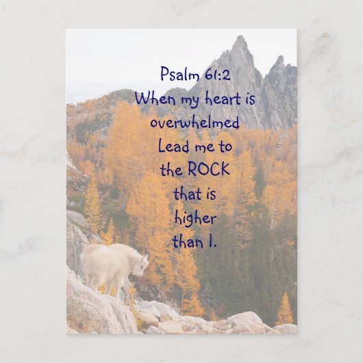 詩篇 61:2 私より高い岩 ポストカード (正面)