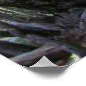 詩編とパスのポスター119:32 ポスター (角)