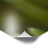 詩編100:5 フォトプリント            (角)