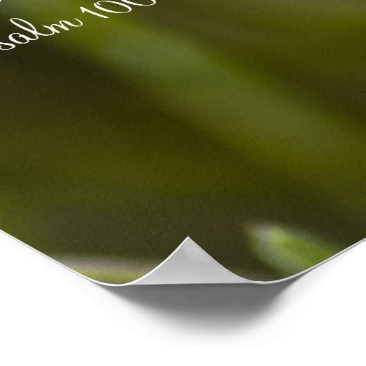 詩編100:5 ポスター (角)