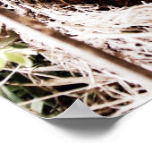 詩編104:24 ポスター (角)