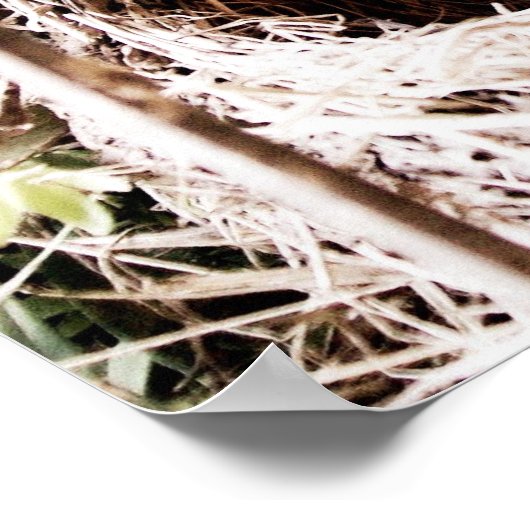 詩編104:24 ポスター (角)