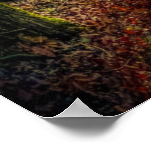 詩編119:105 ポスター (角)