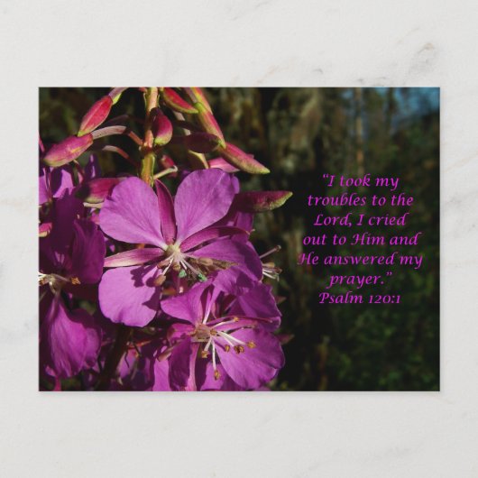 詩編120:1詩編勇気付けられる葉書 ポストカード (正面)