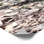 詩編141:3聖なる書物、 経典ポスター ポスター (角)