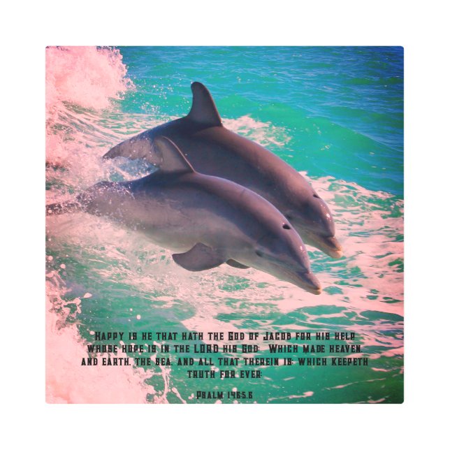 詩編146ドルフィンメタルプリント メタルプリント (正面)