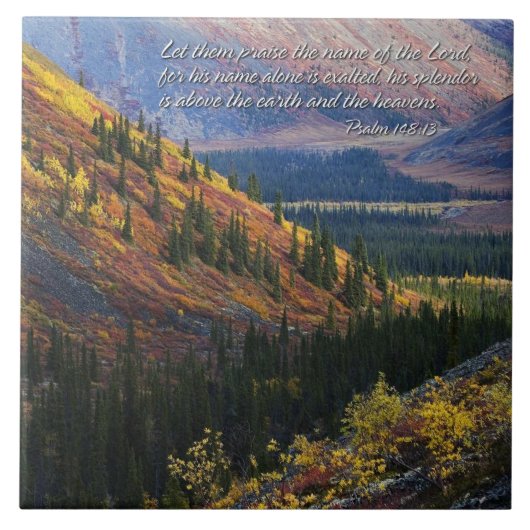 詩編148:13タイル タイル (正面)