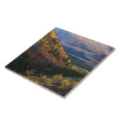 詩編148:13タイル タイル (側面)