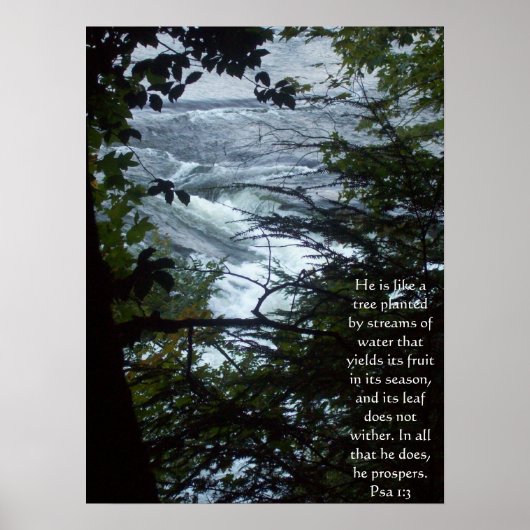 詩編1:3 ポスター (正面)