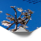 詩編23枚ポスター ポスター (角)