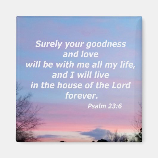 詩編23:6 マグネット (正面)