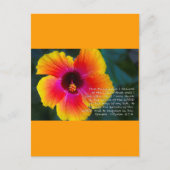 詩編27:4 ポストカード (正面)