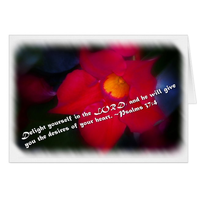 詩編37:4オン白 (正面横)