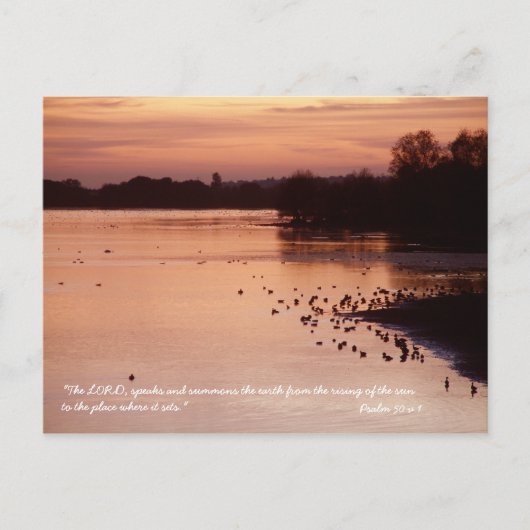 詩編50 v 1 ポストカード (正面)