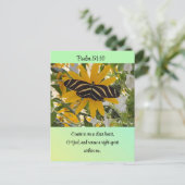 詩編51:10バタフライポストカード ポストカード (スタンド正面)