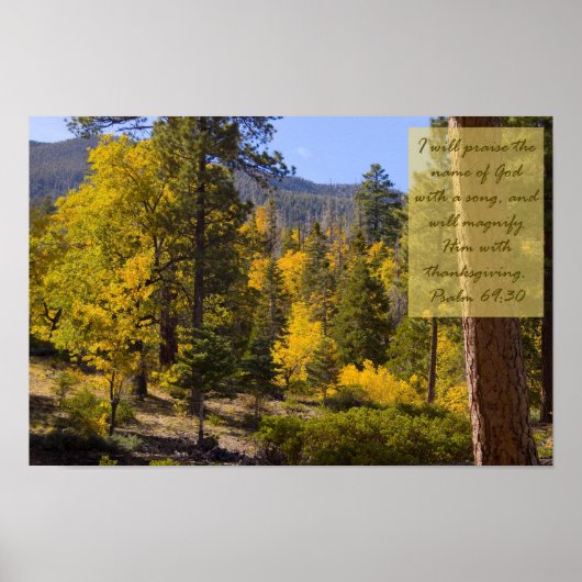 詩編69:30ポスター ポスター (正面)