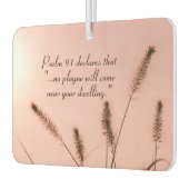 詩編91あなたの家の近くに来ペストは起こらない カーエアーフレッシュナー (左)