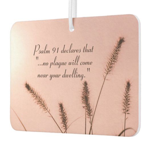 詩編91あなたの家の近くに来ペストは起こらない カーエアーフレッシュナー (左)