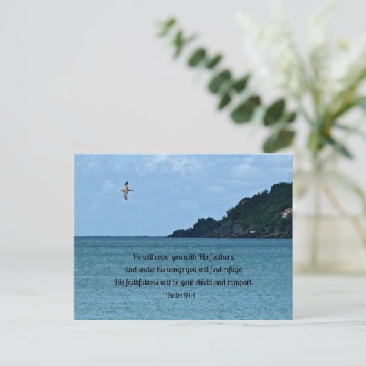 詩編91:4 ポストカード (スタンド正面)