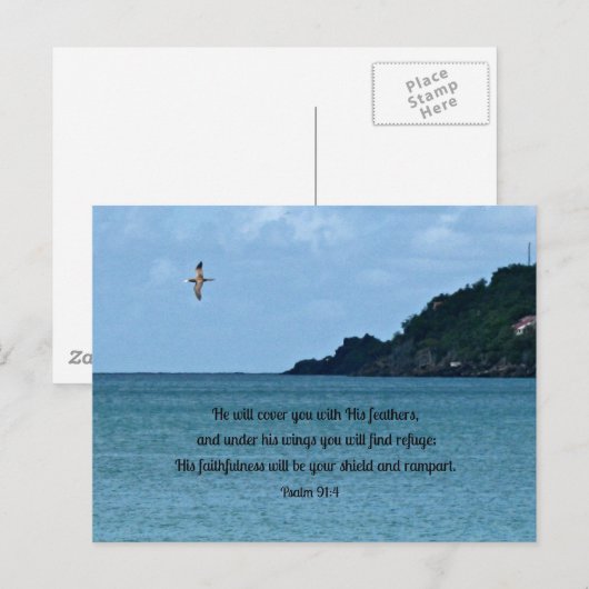 詩編91:4 ポストカード (正面/裏面)