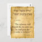 詩編92:12ヘブライ語と英語 ポストカード (正面/裏面)