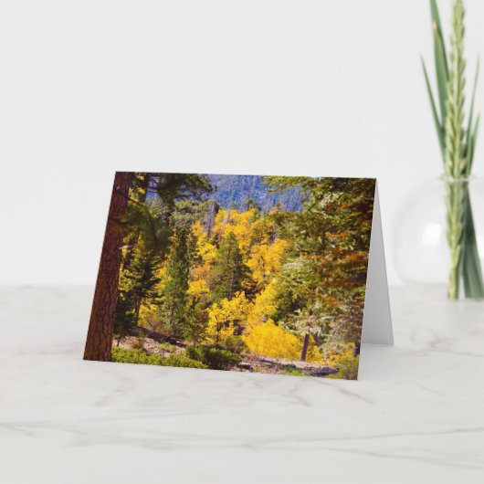 詩編95:2カード シーズンカード (正面)