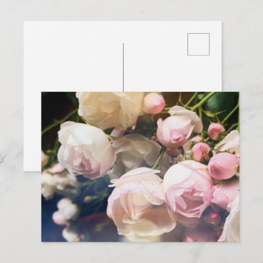 詩集バラ ポストカード (正面/裏面)