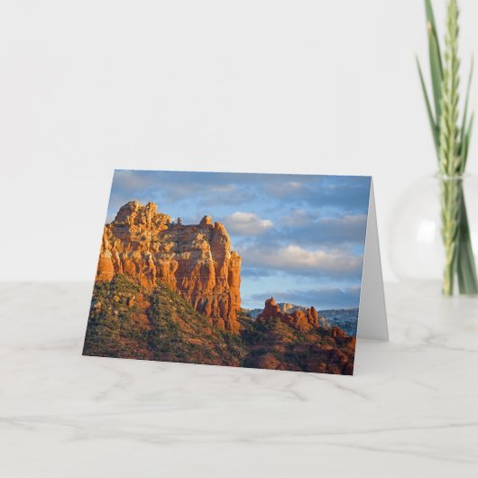 詮策好きな石の挨拶状2201 カード (正面)