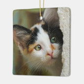 詮索好きな猫猫かわいい – セラミックオーナメント (左)