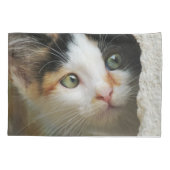 詮索好きの可愛い子猫の写真 –  枕カバー (裏面)