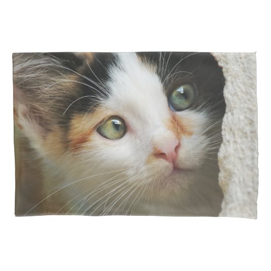 詮索好きの可愛い子猫の写真 –  枕カバー (正面)
