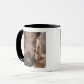 詰まったなイノシシ身に着けているガラス外で マグカップ (正面左)