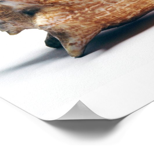 詰める ポスター (角)