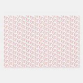 詰め合わせ包装紙 ラッピングペーパーシート (正面2)